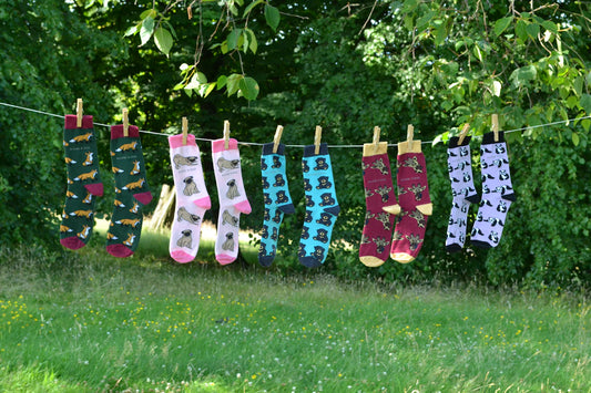 Chaussettes en Fil d'Écosse Élégance Professionnelle
