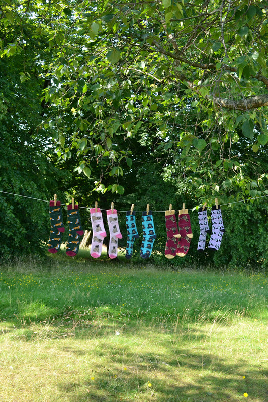 Chaussettes en fil d'écosse  l'accessoire tendance de l'été