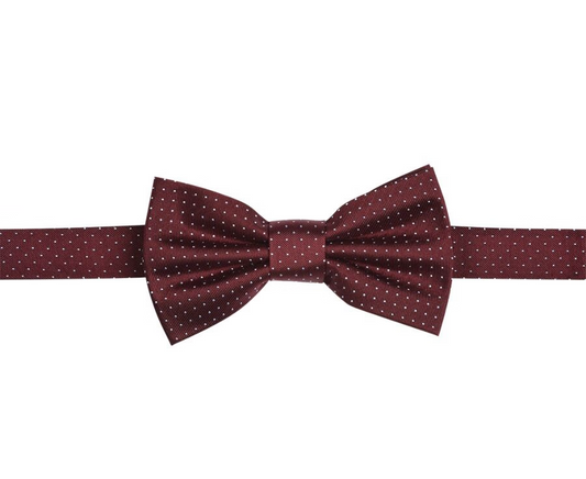 Noeud papillon 29€